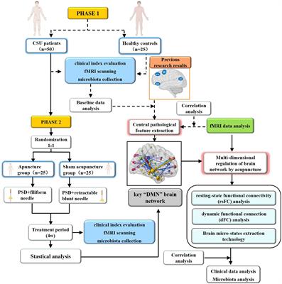 Brain network mechanism of acupuncture for chronic spontaneous urticaria: a functional magnetic resonance imaging study protocol